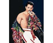 Zuty - Malování podle čísel - FREDDIE MERCURY 40x50 cm bez rámu a bez vypnutí plátna