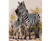 Zuty - Malování podle čísel - ZEBRA S MLÁDĚTEM 40x50 cm bez rámu a bez vypnutí plátna