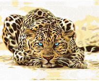 Zuty - Malování podle čísel - ČÍHAJÍCÍ LEOPARD 40x50 cm bez rámu a bez vypnutí plátna