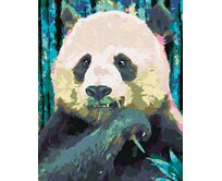 Zuty - Malování podle čísel - BAREVNÁ PANDA 40x50 cm bez rámu a bez vypnutí plátna