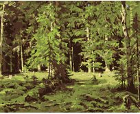 Zuty - Malování podle čísel - LES (IVAN SHISHKIN) 40x50 cm vypnuté plátno na rám