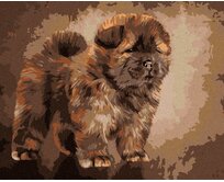 Zuty - Malování podle čísel - ŠTĚNÁTKO CHOW CHOW 40x50 cm bez rámu a bez vypnutí plátna