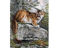 Zuty - Malování podle čísel - PUMA NA SKÁLE (AL AGNEW) 40x50 cm bez rámu a bez vypnutí plátna