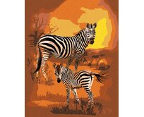 Zuty - Malování podle čísel - ZEBRA A MLÁDĚ (CAROL CAVALARIS) 40x50 cm vypnuté plátno na rám