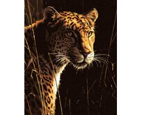 Zuty - Malování podle čísel – LEOPARD V TRÁVĚ (JAMES HAUTMAN) 40x50 cm bez rámu a bez vypnutí plátna