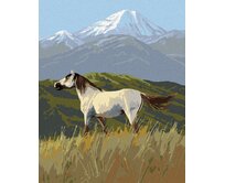 Zuty - Malování podle čísel – DÍVOKÝ KŮŇ MUSTANG A HORY (JAMES HAUTMAN) 40x50 cm bez rámu a bez vypnutí plátna