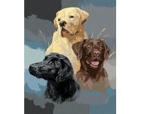 Zuty - Malování podle čísel - ZLATÝ, HNĚDÝ A ČERNÝ LABRADOR (JAMES HAUTMAN) 40x50 cm bez rámu a bez vypnutí plátna