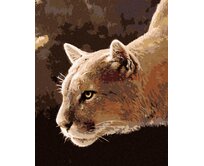 Zuty - Malování podle čísel - PUMA AMERICKÁ (JOE HAUTMAN) 40x50 cm vypnuté plátno na rám