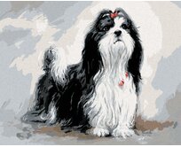 Zuty - Malování podle čísel – SHIH-TZU S ČERVENOU MAŠLÍ  (JIM KILLEN) 40x50 cm bez rámu a bez vypnutí plátna