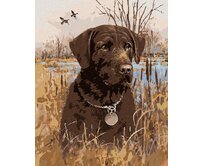 Zuty - Malování podle čísel - HNĚDÝ LABRADOR V RÁKOSÍ U RYBNÍKA (JIM KILLEN) 40x50 cm vypnuté plátno na rám