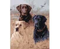 Zuty - Malování podle čísel - ZLATÝ, HNĚDÝ A ČERNÝ LABRADOR V RAKOSÍ U RYBNÍKA (JIM KILLEN) 40x50 cm bez rámu a bez vypnutí plátna