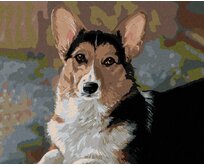 Zuty - Malování podle čísel – WELSH CORGI PEMBROKE (VICTORIA SCHULTZ) 40x50 cm vypnuté plátno na rám