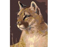 Zuty - Malování podle čísel - PUMA 40x50 cm vypnuté plátno na rám