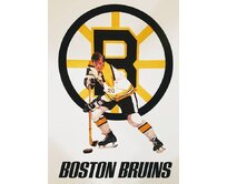 Plechová cedule Boston Bruins Velikost: A4 (30 x 20 cm) A4 (30 x 20 cm)