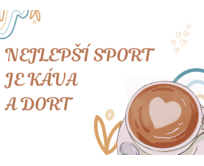 Plechová cedule Nejlepší sport... Velikost: A4 (30 x 20 cm) A4 (30 x 20 cm)