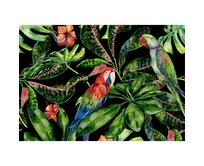 Dekoria Obraz na płátně Tropical Birds, 100 x 70 cm