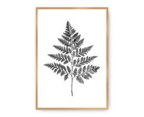 Dekoria Plakát Fern Grey, 21 x 30 cm, Ramka: Złota