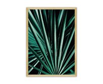 Dekoria Plakát Dark Palm Tree, 21 x  30 cm, Volba rámku: Zlatý