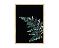 Dekoria Plakát Dark Fern Leaf, 21 x  30 cm, Volba rámku: Zlatý