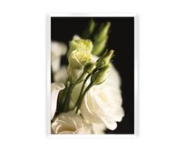 Dekoria Plakát Dark Flowers I, 21 x  30 cm, Volba rámku: Bílý