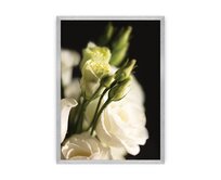 Dekoria Plakát Dark Flowers I, 21 x  30 cm, Volba rámku: Stříbrný