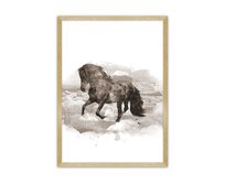 Dekoria Plakát Horse, 21 x 30 cm, Volba rámku: Zlatý