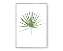 Dekoria Plakát Tropical Leaf Green, 21 x 30 cm, Vybrat rám: Stříbrný