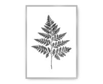 Dekoria Plakát Fern Grey, 30 x 40 cm, Ramka: Srebrna