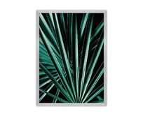 Dekoria Plakát Dark Palm Tree, 40 x 50 cm, Volba rámku: Stříbrný