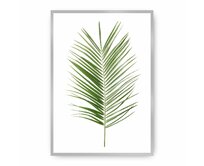 Dekoria Plakát Palm Leaf Green, 50 x 70 cm, Vybrat rám: Stříbrný