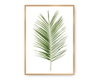 Dekoria Plakát Palm Leaf Green, 50 x 70 cm, Vybrat rám: Zlatý