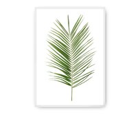 Dekoria Plakát Palm Leaf Green, 40 x 50 cm, Vybrat rám: Bílý