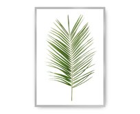 Dekoria Plakát Palm Leaf Green, 40 x 50 cm, Vybrat rám: Stříbrný