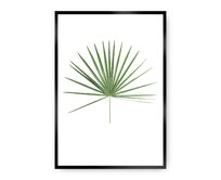 Dekoria Plakát Tropical Leaf Green, 50 x 70 cm, Vybrat rám: Černý