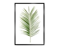 Dekoria Plakát Palm Leaf Green, 70 x 100 cm, Vybrat rám: Černý