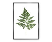 Dekoria Plakát Fern Green, 50 x 70 cm, Volba rámu: černý