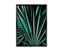 Dekoria Plakát Dark Palm Tree, 50 x 70 cm, Volba rámku: Černý