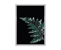 Dekoria Plakát Dark Fern Leaf, 50 x 70 cm, Volba rámku: Stříbrný