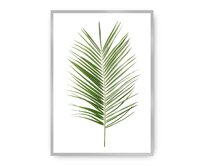 Dekoria Plakát Palm Leaf Green, 70 x 100 cm, Vybrat rám: Stříbrný