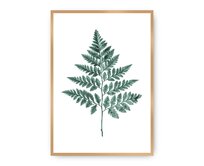 Dekoria Plakát Fern Emerald Green, 21 x 30 cm, Ramka: Złota