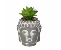 Dekoria Dekorace Succulent III Buddha 17cm, 10 x 10 x 17 cm