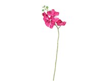 Dekoria Větvička Orchid 65cm pink, 65 cm