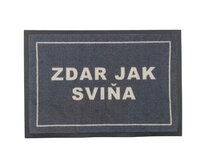 Rohožka Zdar jak sviňa 40x60 cm - 40x60 cm Šedá, Malé (80x150 cm a menší), Syntetický (umělý)