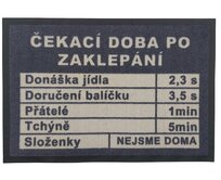 Rohožka Čekací doba 40x60 cm - 40x60 cm Šedá, Malé (80x150 cm a menší), Syntetický (umělý)