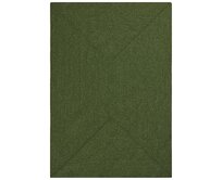 NORTHRUGS - Hanse Home koberce Kusový koberec Braided  Green – na ven i na doma - 200x290 cm Zelená, Velké (190x270 cm a větší), Syntetický (umělý)