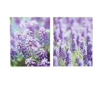 Obraz "LAVANDER" 40x50x2/2dr.