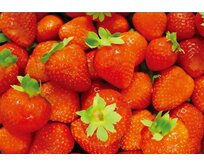 DURAtex Stolové prostírání 430 x280 mm, PP, Strawberry