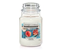 Yankee Candle vonná svíčka Classic ve skle velká Pomegranate Coconut 538 g Bílá