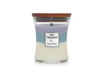 WoodWick vonná svíčka s dřevěným knotem Trilogy svíčka střední Calming Retreat 275 g Vícbarevná