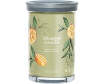 Yankee Candle vonná svíčka Signature Tumbler ve skle velká Sage & Citrus 567g Zelená